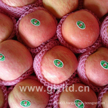 Fresh FUJI, Huaniu, Gala, Golden, Qinguan Apple